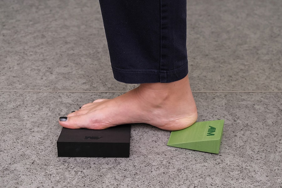 Anatomy in Motion (AIM)